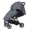 Cochecito de bebé Carrello Delta - Gris Lava (1)
