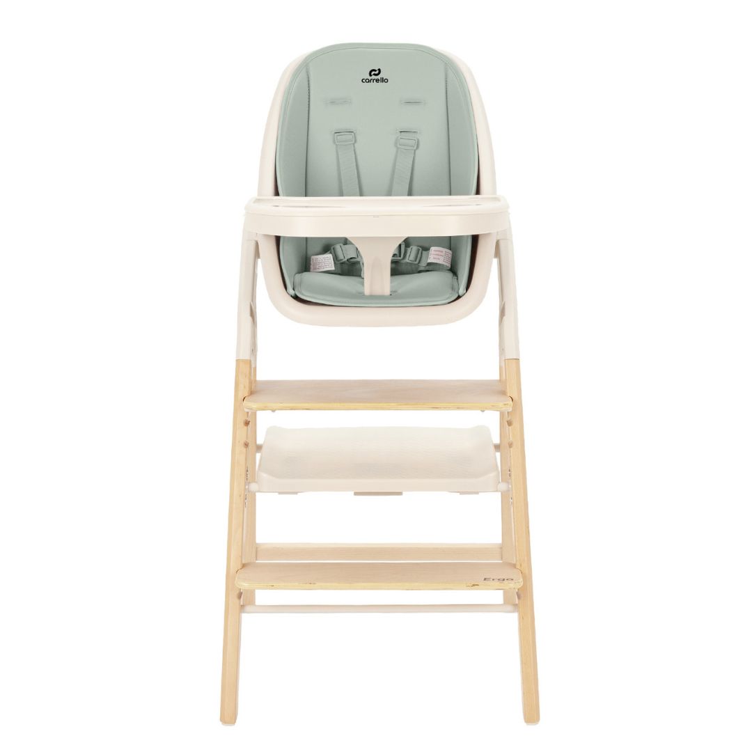 ergo carrello Elora Green (2)