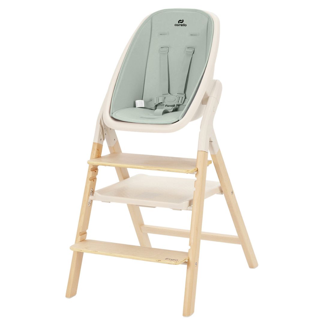 ergo carrello Elora Green (3)