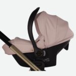 01 ROSA +178,00 €